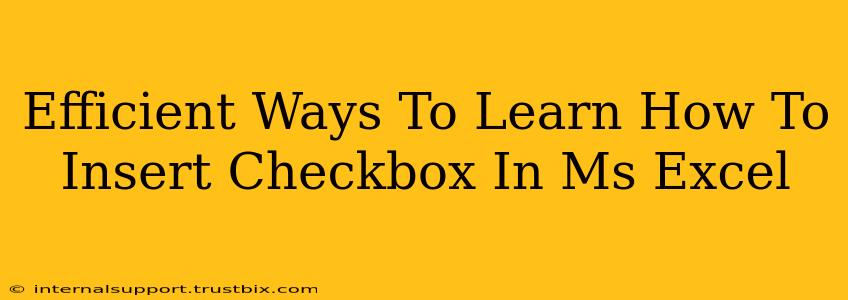 Efficient Ways To Learn How To Insert Checkbox In Ms Excel