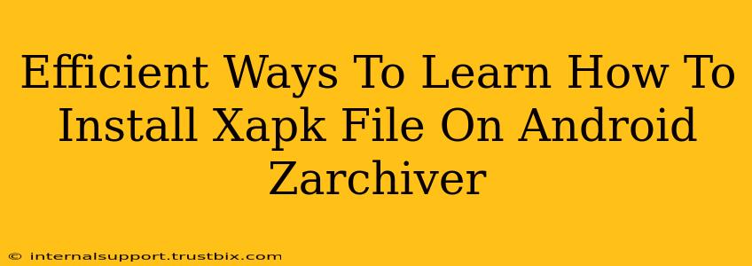 Efficient Ways To Learn How To Install Xapk File On Android Zarchiver