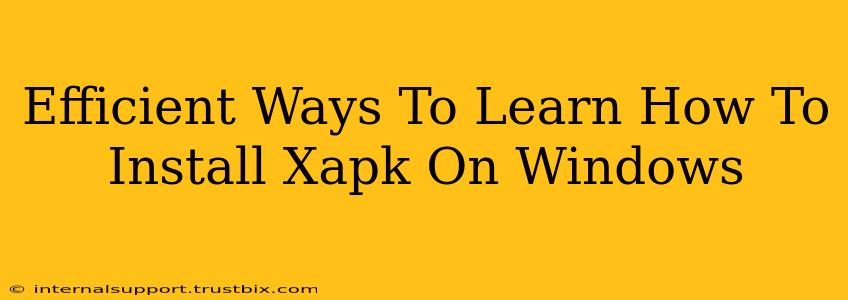 Efficient Ways To Learn How To Install Xapk On Windows