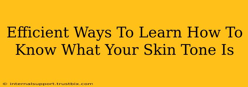 Efficient Ways To Learn How To Know What Your Skin Tone Is