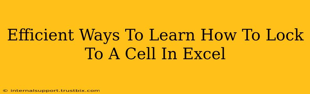 Efficient Ways To Learn How To Lock To A Cell In Excel