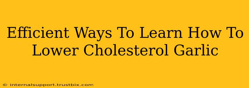 Efficient Ways To Learn How To Lower Cholesterol Garlic