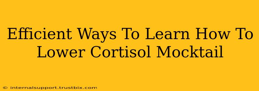 Efficient Ways To Learn How To Lower Cortisol Mocktail