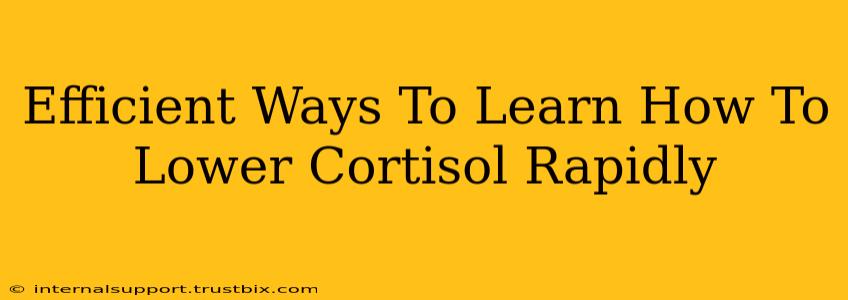 Efficient Ways To Learn How To Lower Cortisol Rapidly