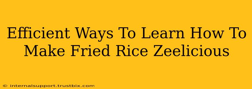 Efficient Ways To Learn How To Make Fried Rice Zeelicious