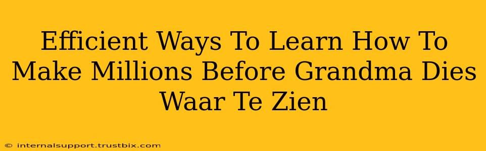 Efficient Ways To Learn How To Make Millions Before Grandma Dies Waar Te Zien