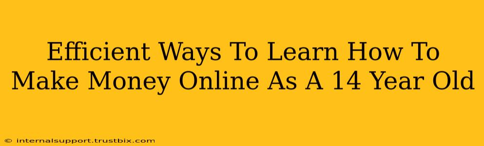 Efficient Ways To Learn How To Make Money Online As A 14 Year Old