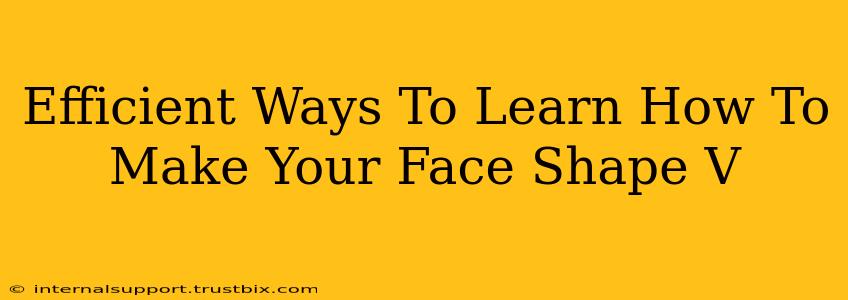 Efficient Ways To Learn How To Make Your Face Shape V