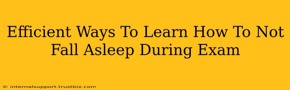 Efficient Ways To Learn How To Not Fall Asleep During Exam