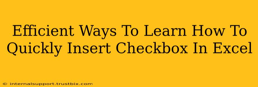 Efficient Ways To Learn How To Quickly Insert Checkbox In Excel