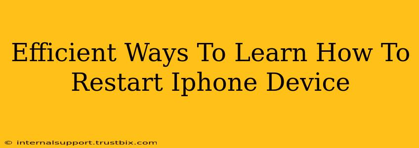 Efficient Ways To Learn How To Restart Iphone Device