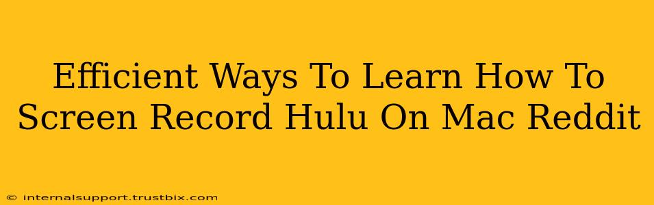 Efficient Ways To Learn How To Screen Record Hulu On Mac Reddit