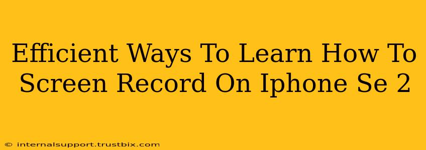 Efficient Ways To Learn How To Screen Record On Iphone Se 2