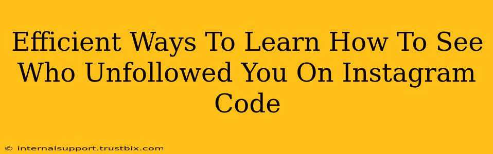 Efficient Ways To Learn How To See Who Unfollowed You On Instagram Code