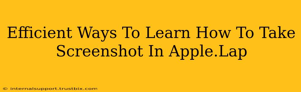 Efficient Ways To Learn How To Take Screenshot In Apple.Lap