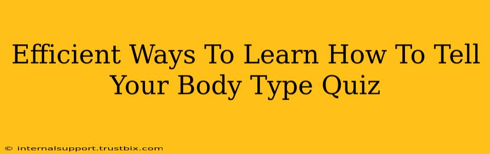 Efficient Ways To Learn How To Tell Your Body Type Quiz