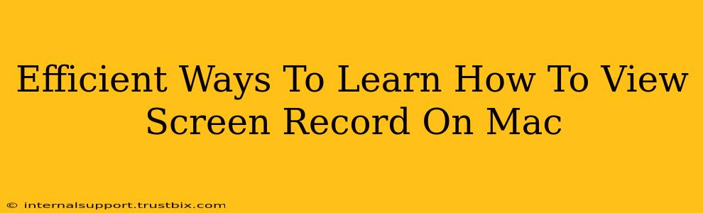 Efficient Ways To Learn How To View Screen Record On Mac