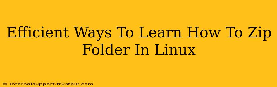 Efficient Ways To Learn How To Zip Folder In Linux