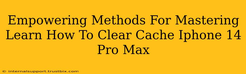 Empowering Methods For Mastering Learn How To Clear Cache Iphone 14 Pro Max