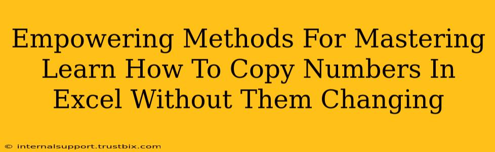 Empowering Methods For Mastering Learn How To Copy Numbers In Excel Without Them Changing