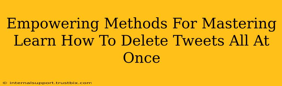 Empowering Methods For Mastering Learn How To Delete Tweets All At Once