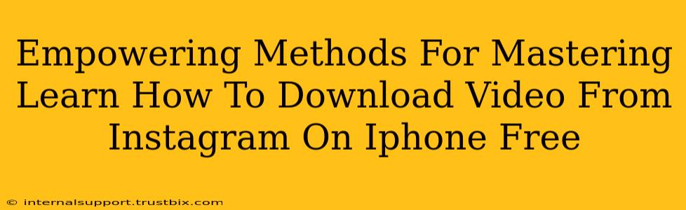 Empowering Methods For Mastering Learn How To Download Video From Instagram On Iphone Free