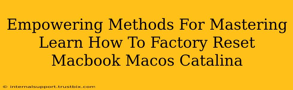 Empowering Methods For Mastering Learn How To Factory Reset Macbook Macos Catalina