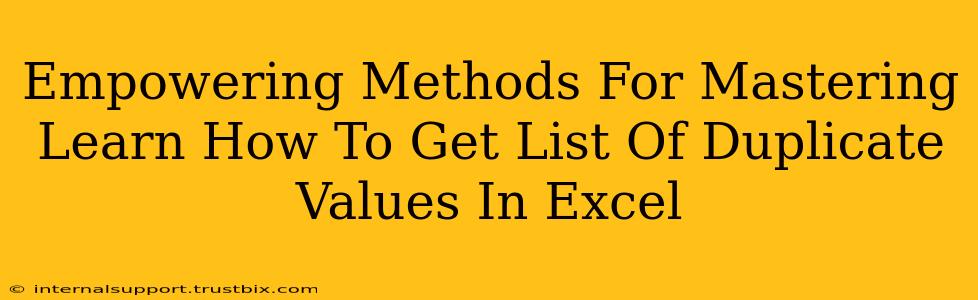 Empowering Methods For Mastering Learn How To Get List Of Duplicate Values In Excel