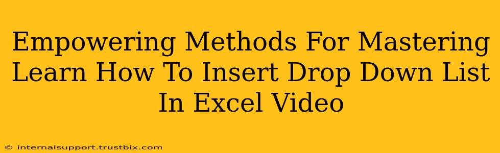 Empowering Methods For Mastering Learn How To Insert Drop Down List In Excel Video