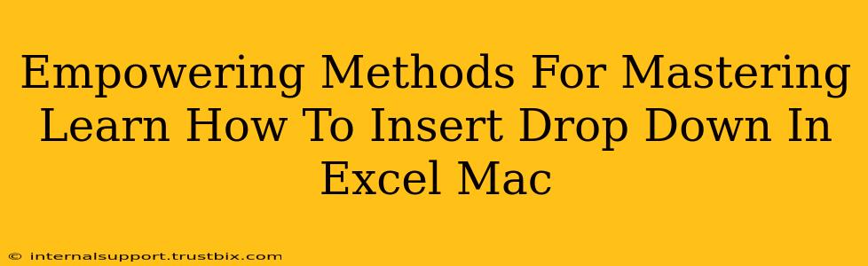 Empowering Methods For Mastering Learn How To Insert Drop Down In Excel Mac