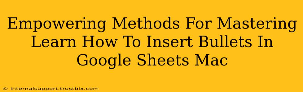 Empowering Methods For Mastering Learn How To Insert Bullets In Google Sheets Mac