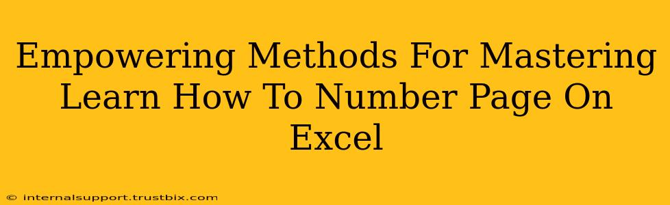 Empowering Methods For Mastering Learn How To Number Page On Excel