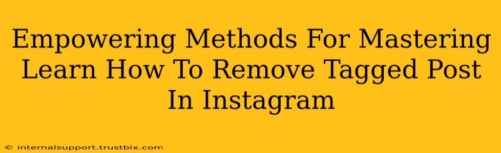 Empowering Methods For Mastering Learn How To Remove Tagged Post In Instagram