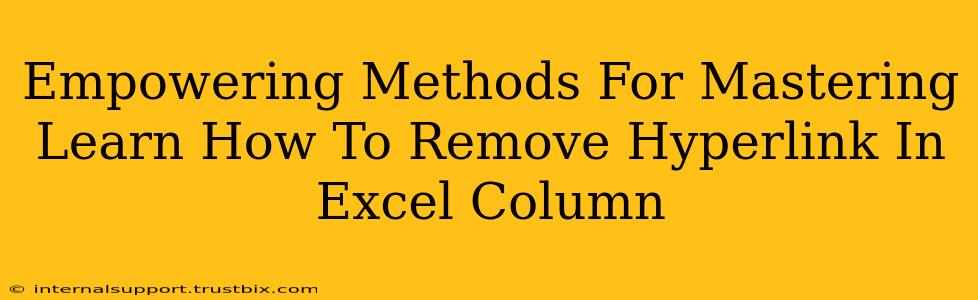 Empowering Methods For Mastering Learn How To Remove Hyperlink In Excel Column