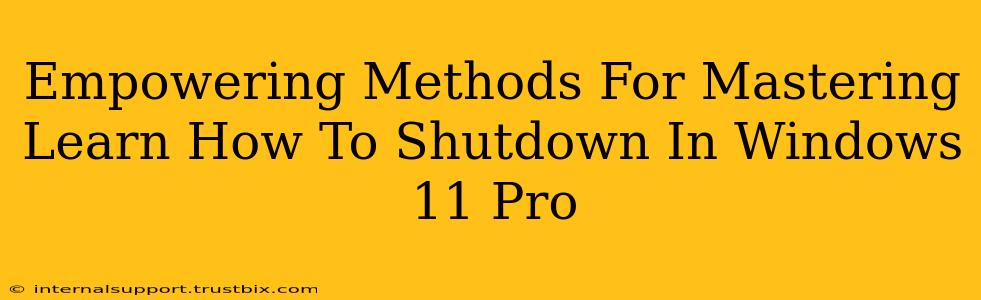 Empowering Methods For Mastering Learn How To Shutdown In Windows 11 Pro