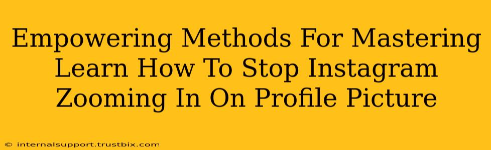 Empowering Methods For Mastering Learn How To Stop Instagram Zooming In On Profile Picture