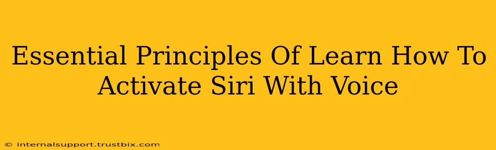 Essential Principles Of Learn How To Activate Siri With Voice