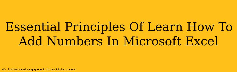 Essential Principles Of Learn How To Add Numbers In Microsoft Excel