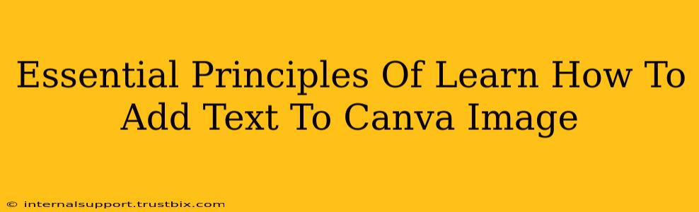 Essential Principles Of Learn How To Add Text To Canva Image