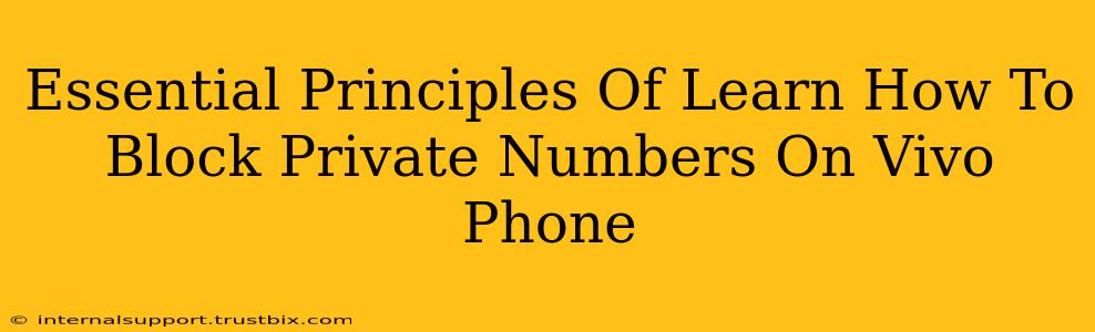 Essential Principles Of Learn How To Block Private Numbers On Vivo Phone