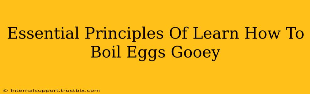 Essential Principles Of Learn How To Boil Eggs Gooey