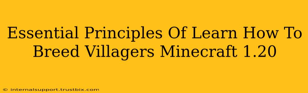 Essential Principles Of Learn How To Breed Villagers Minecraft 1.20