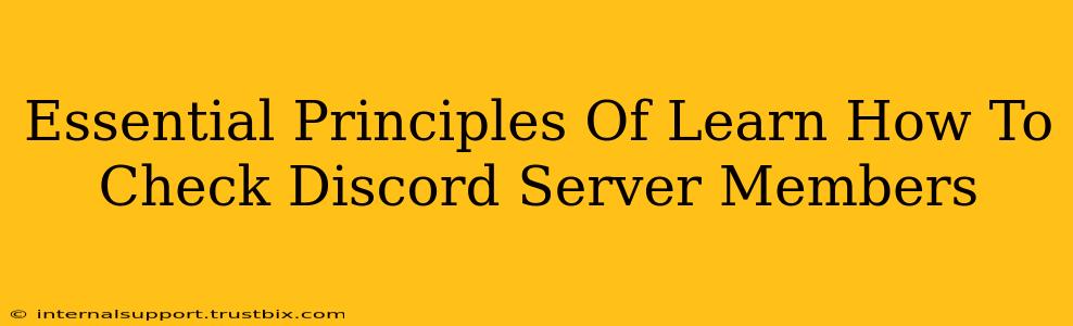 Essential Principles Of Learn How To Check Discord Server Members