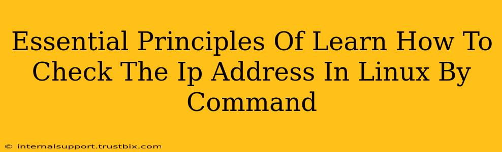 Essential Principles Of Learn How To Check The Ip Address In Linux By Command