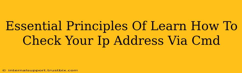 Essential Principles Of Learn How To Check Your Ip Address Via Cmd