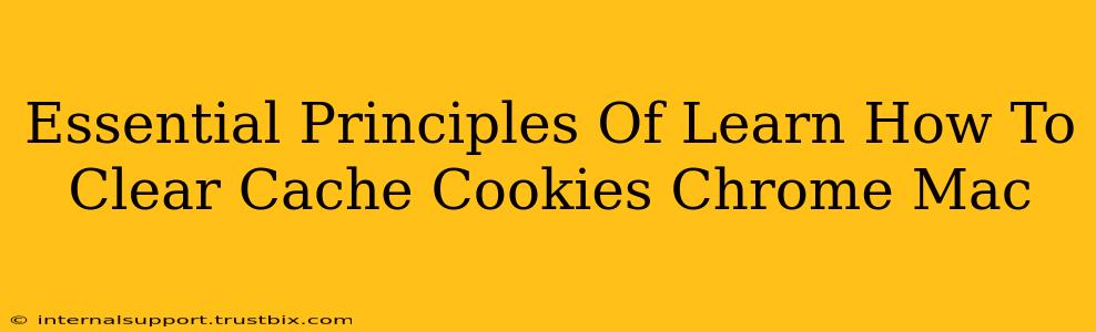 Essential Principles Of Learn How To Clear Cache Cookies Chrome Mac