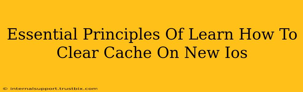 Essential Principles Of Learn How To Clear Cache On New Ios