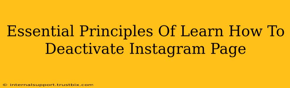 Essential Principles Of Learn How To Deactivate Instagram Page