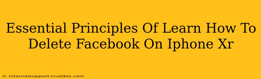 Essential Principles Of Learn How To Delete Facebook On Iphone Xr