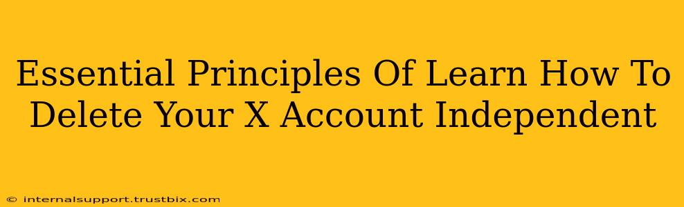 Essential Principles Of Learn How To Delete Your X Account Independent